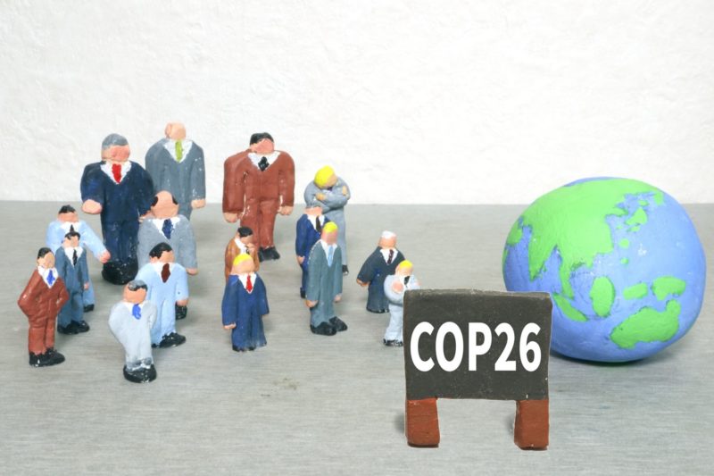 気候変動枠組条約締約国会議（COP）