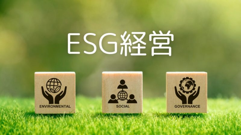 ESG経営とは？投資家が重視する評価ポイント、取り組み方やメリットを解説！